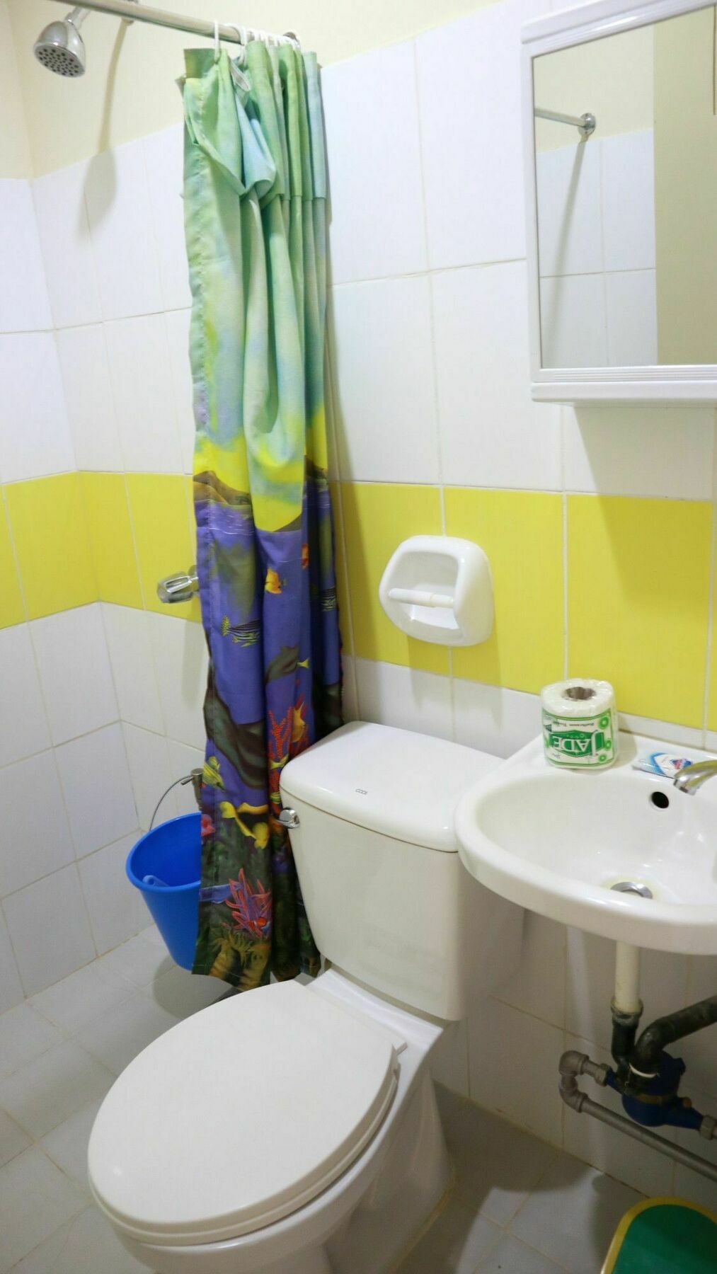 C Tower Studio Apartments Puerto Princesa Extérieur photo